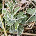 591902191_1173653794903638_6921418491919237011_n