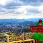 602403279_1190113759924308_8698222423370084284_n