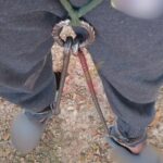 618635416_1207913898144294_7557419530447936867_n