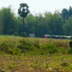 643426551_1242762107992806_1366871568275353948_n