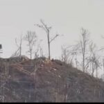 672681302_1276540861281597_3562864109238647379_n